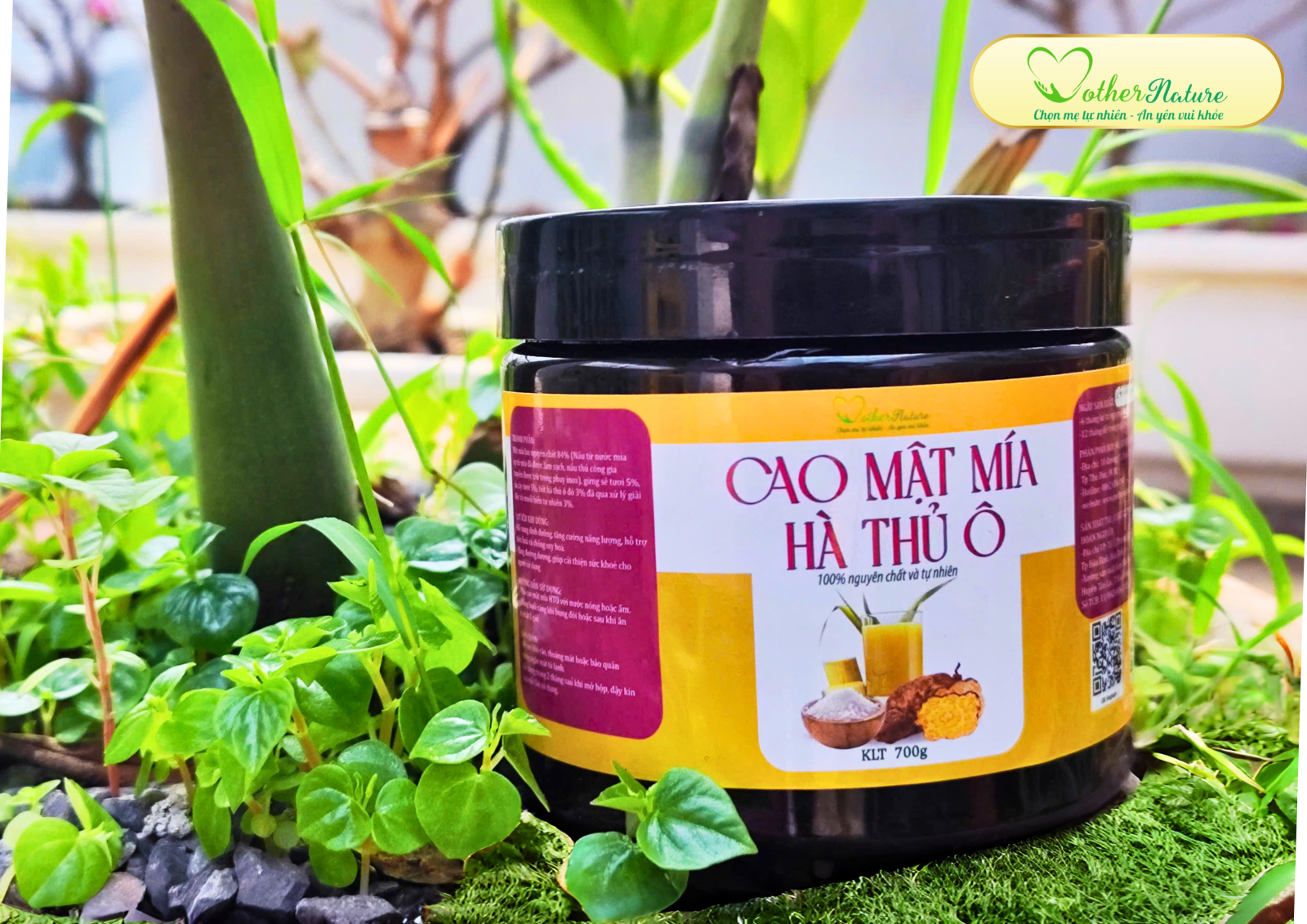 CAO MẬT MÍA HÀ THỦ Ô 700G